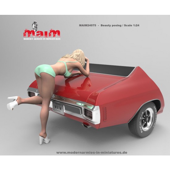 1/24 Car Wash Girl Posing Vol.1 (1 figure,3D printed soft resin)