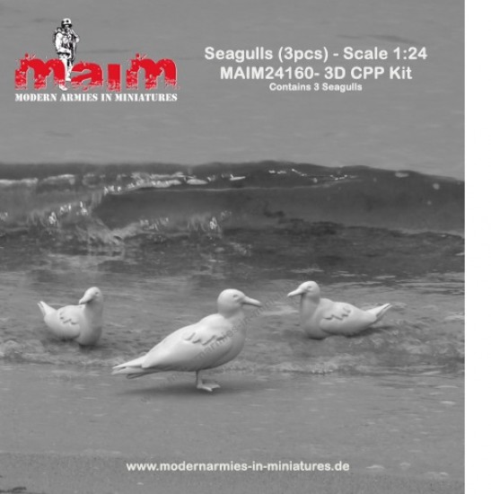 1/24 Seagulls (3pcs)