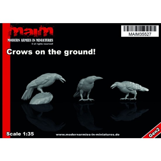 1/35 Crows On The Ground
