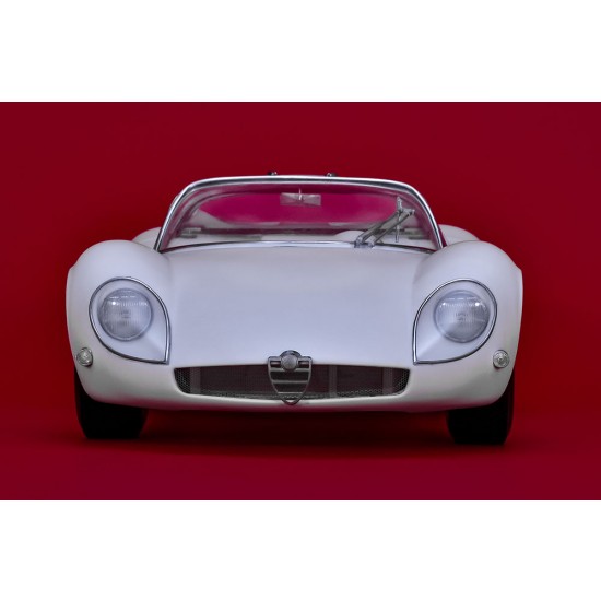 1/12 Full Detail Kit: Alfa Romeo Tipo33 Stradale
