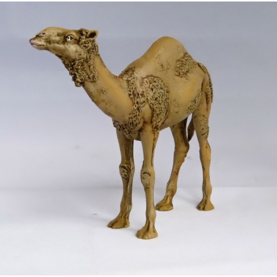 1/35 Camel