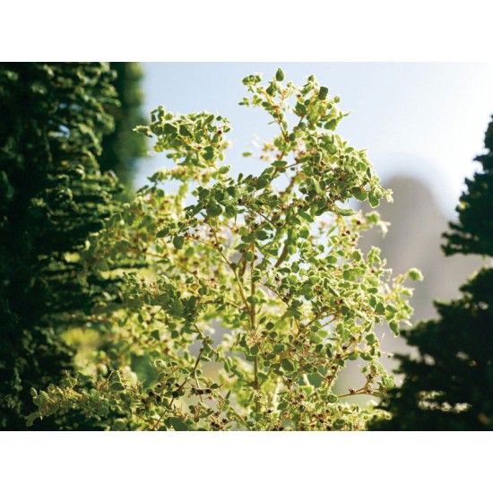 Leaves (medium green, 50g) For G,O,HO,TT,N,Z Scale