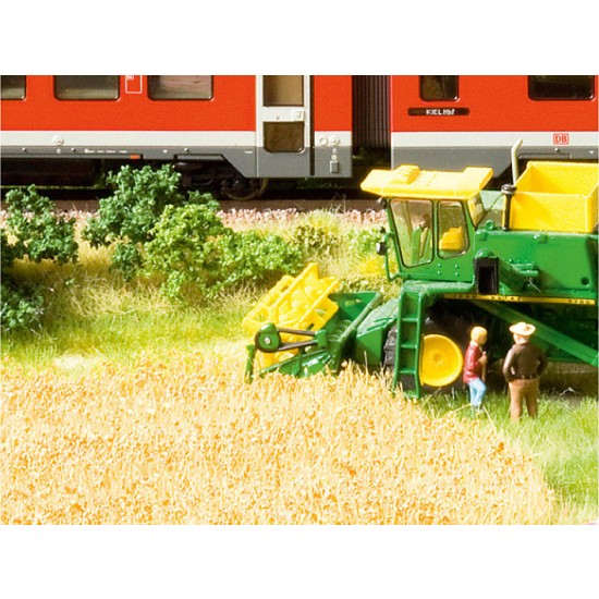 Natur+ Cornfield (220 x 200 mm, 10 grass tufts)
