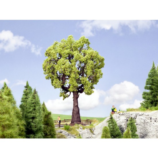 O,HO Scale Oak Tree (Height: 190mm)