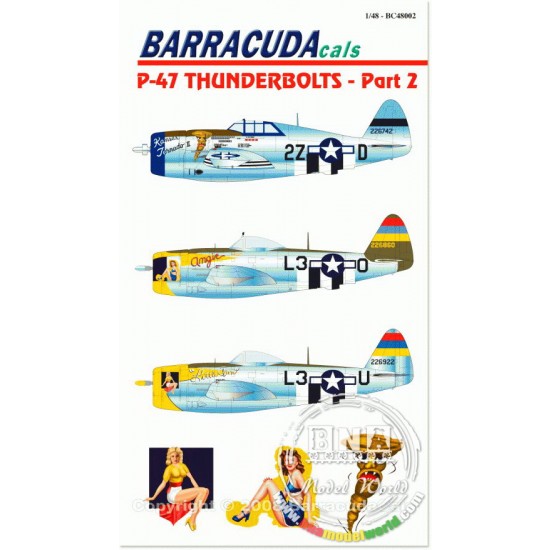1/48 P-47 Thunderbolt Part 2 Decals
