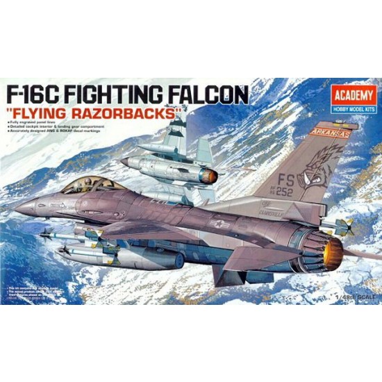 1/48 Fighting Falcon F-16C Block 25/32 