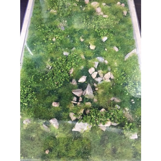 Realistic Ground Mat - Stony Mountain Spring (Dimensions: 230 x 130 mm)