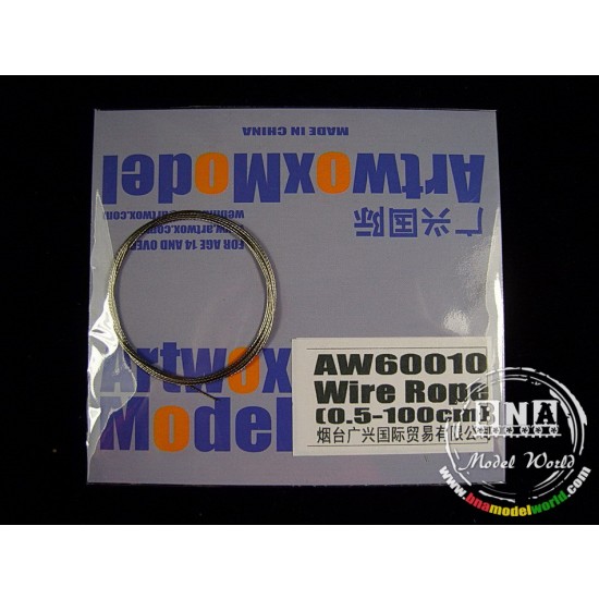 Stainless Steel Wire Rope (Diameter: 0.5mm, Length: 100cm)