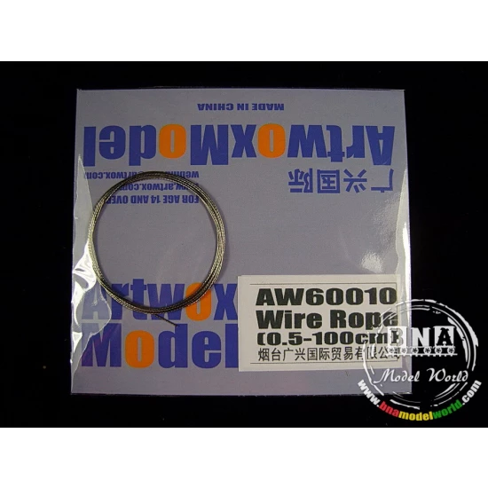 Stainless Steel Wire Rope (Diameter: 0.5mm, Length: 100cm)