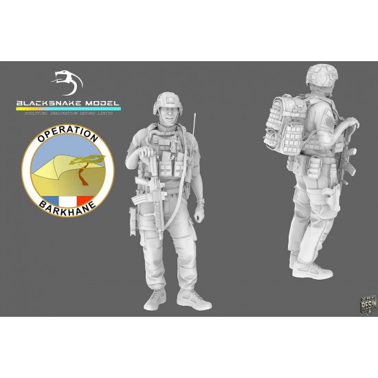 1/35 French Army Operation Barkhane Soldier #3 (1 figure)