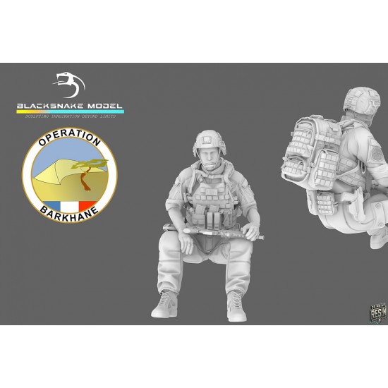 1/35 French Army Operation Barkhane Soldier #8 (1 figure)