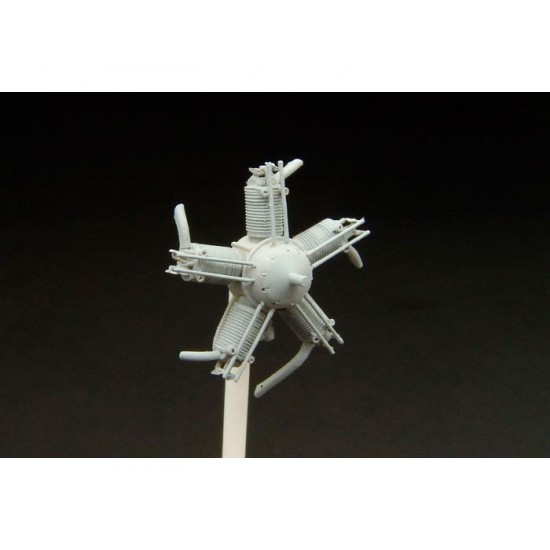 1/48 Walter NZ-60 Engine Resin Kit of Czech for Avia Bh 11 / Smer Kit