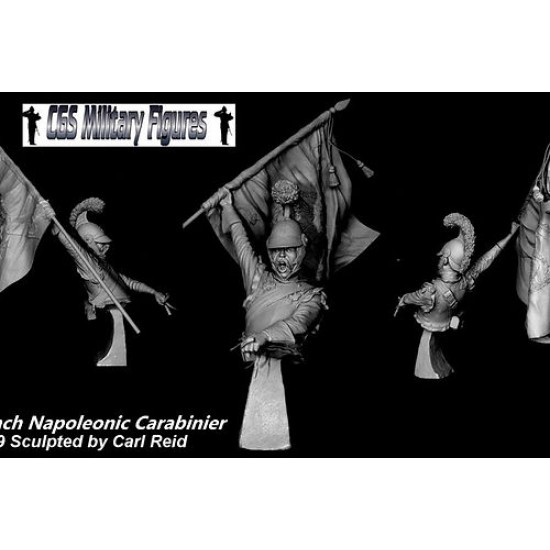 200mm 1/9 French Carabinier Borodino (bust)