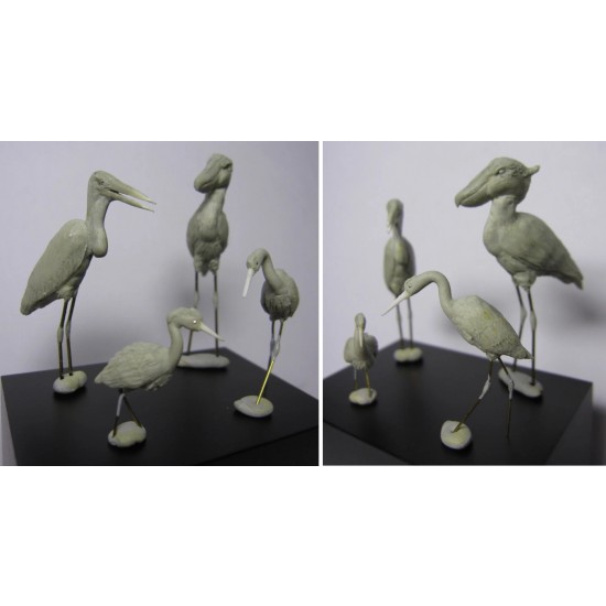 1/32 Wild Life - Birds Set Vol.1 (4pcs)