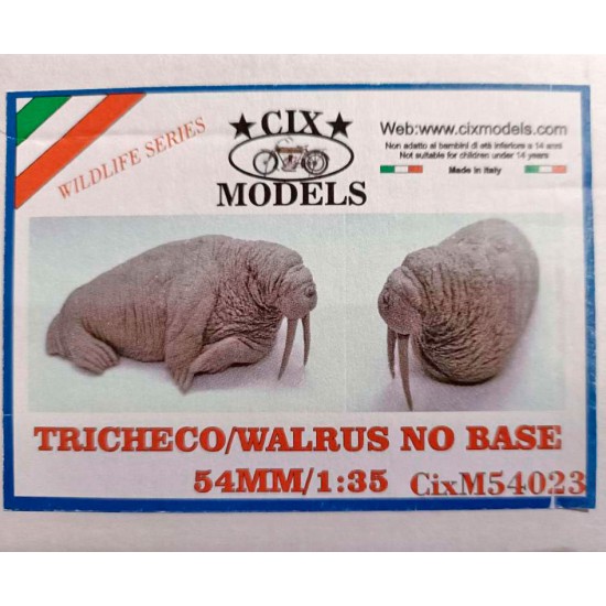 1/35, 54mm Scale Walrus