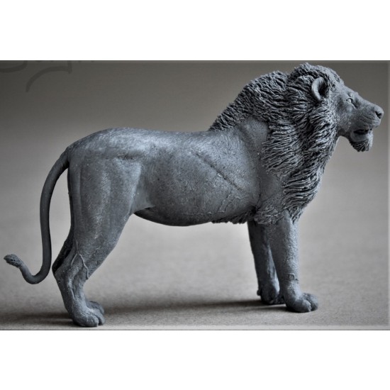 1/20 (90mm) Wild Life Series - African Lion