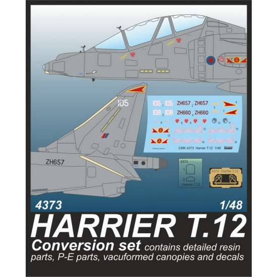1/48 Modern British Harrier T.Mk.12 Conversion set 