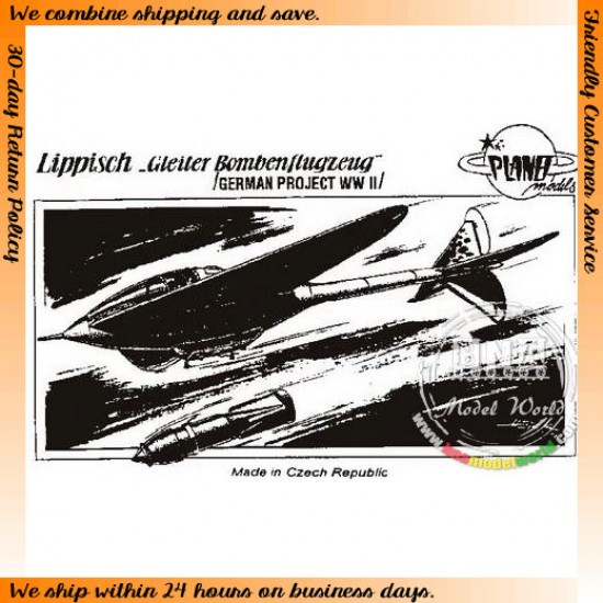 1/48 WWII German Lippisch "Gleiter Bombenflugzeug"