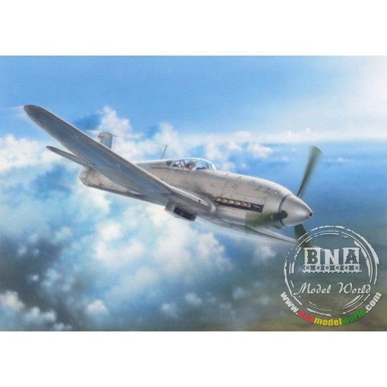 1/32 Heinkel He 100D "Soviet and Japanese Test Plane"