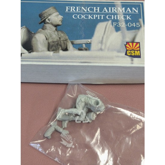 1/32 French Airman Cockpit Check