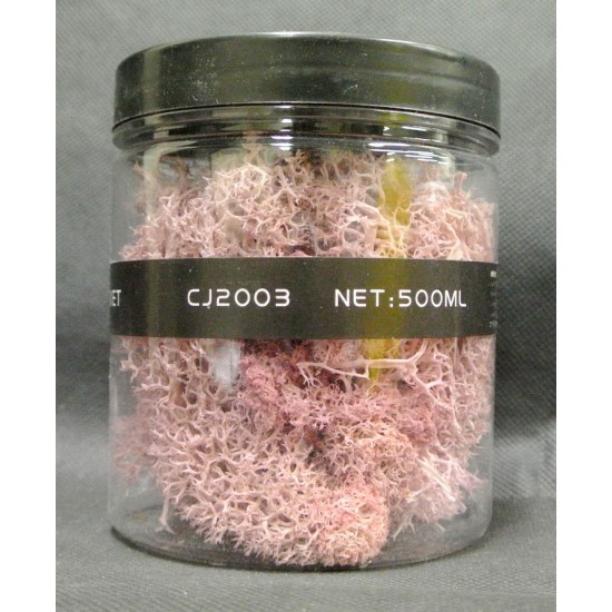 Ground Cover Grass/Shrub/Thorns Ver. R Light Pink (500ml)