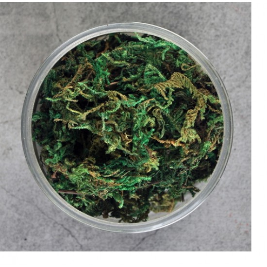 Ground Cover Long Grass/Shrub/Thorns #Green (500ml)