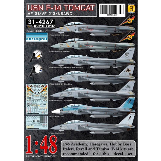 1/48 USN F-14A/D VF-31/VF-213/NSAWC Tomcat Collection #3