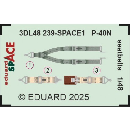 1/48 Curtiss P-40N Seatbelts 3D Decal for Eduard kits