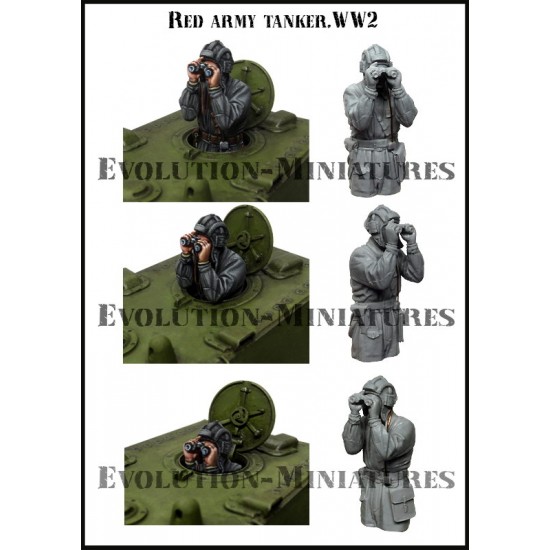 1/35 WWII Red Army Tanker (1 bust)