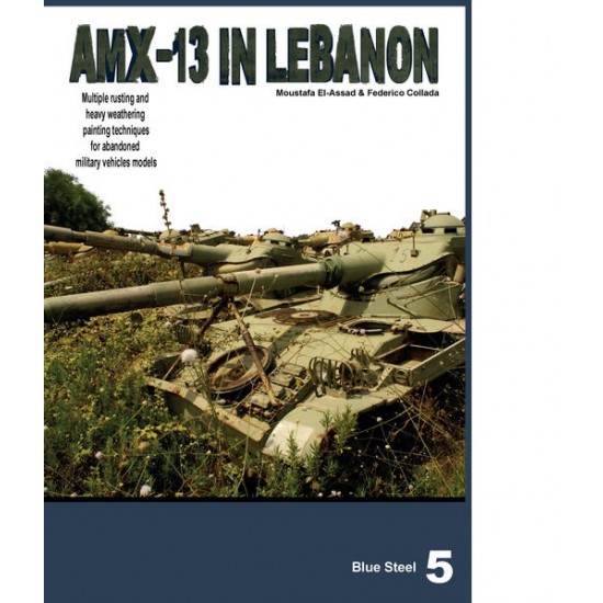 Blue Steel Vol.5: AMX-13 Abandoned in Lebanon