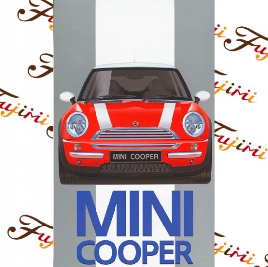 1/24 NEW MINI COOPER (RS-19)