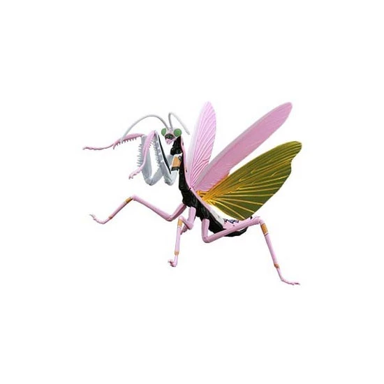 Evangelion Edition Big Mantis Type Unit-08 (FI No.232)