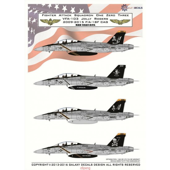 Decals for 1/48 Boeing F/A-18F Super Hornet VFA-103 Jolly Rogers