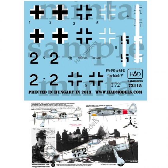 Decals for 1/72 Fw-190 F-8/A-8 (Luftwaffe black 2)