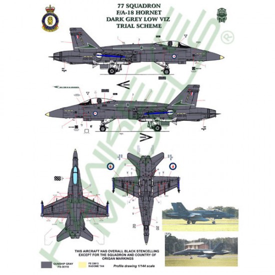 RAAF Decals for 1/48 McDonnell Douglas F/A-18A Hornet 77 SQN (Dark grey / black) A21-20