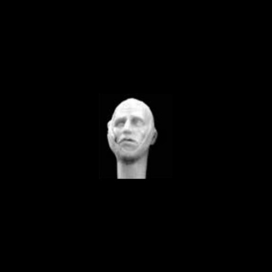 1/35 Bandaged Head Vol. 1