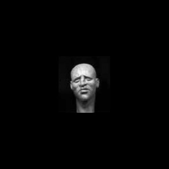 1/35 Character Head Vol. 2
