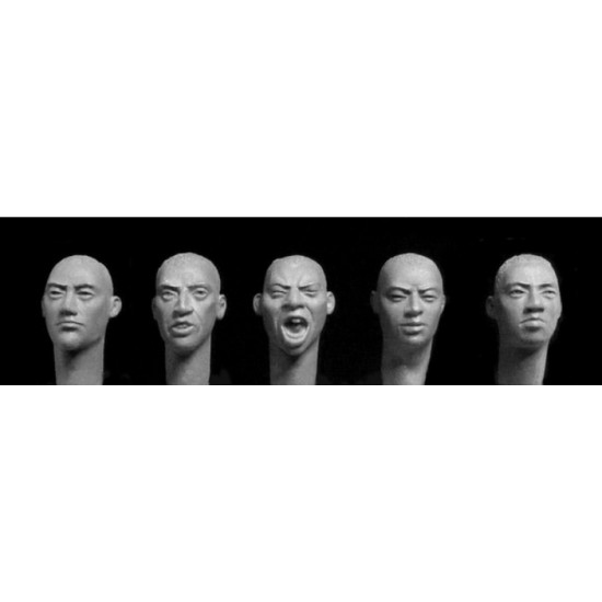 1/35 5x Different Heads with Central Asian Features, Cropped Hair