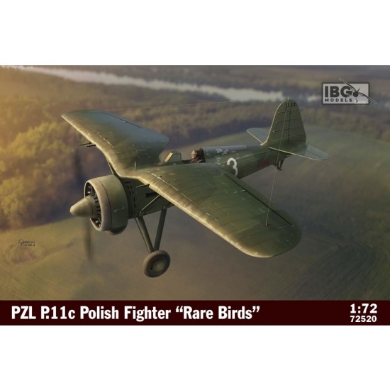 1/72 Polish PZL P.11c Fighter Rare Birds