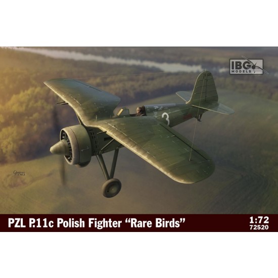 1/72 Polish PZL P.11c Fighter Rare Birds