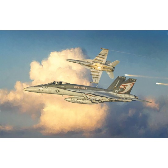1/48 Boeing F/A-18 E Super Hornet Carrier-based Multirole Fighter