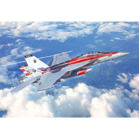 1/48 US Navy F/A-18F Super Hornet Special Colours