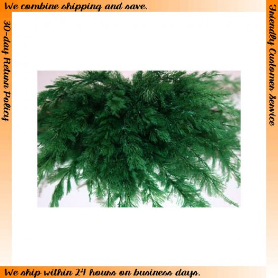Green Fine Weeds for All Scales