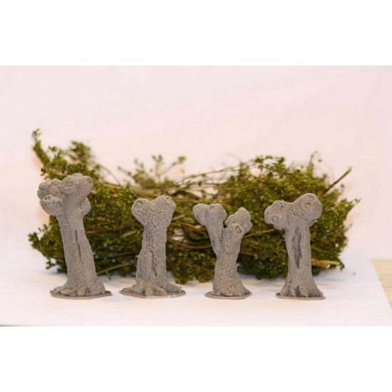 1/48 Pollard Willows Set (European style, 28-38mm)