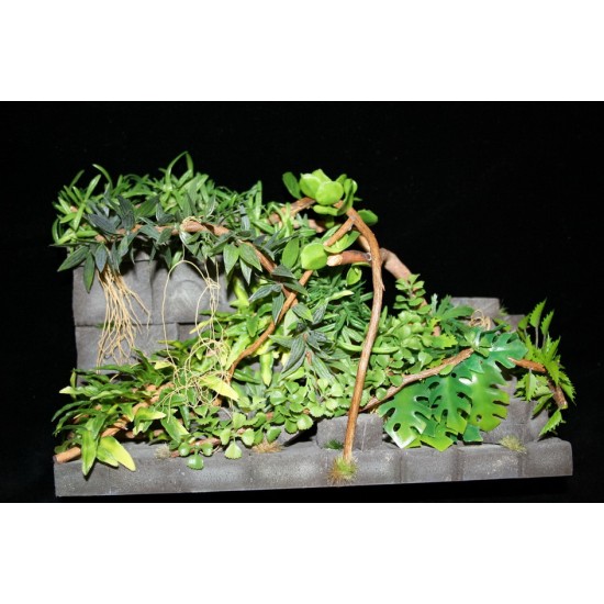 1/35, 1/48 Jungle Plants Set