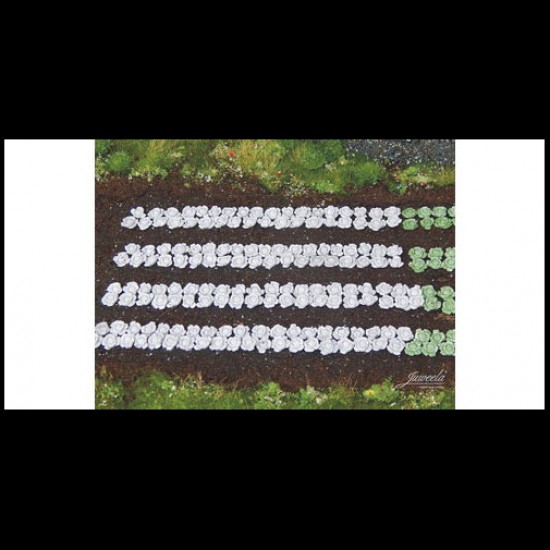 1/87 (HO scale) Red Cabbage Plants (220pcs)