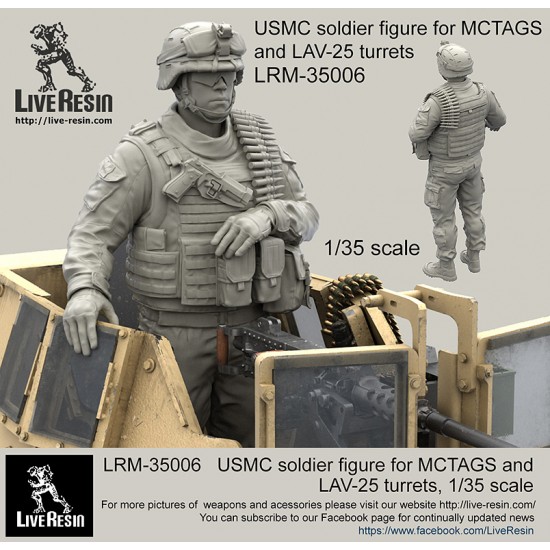 1/35 USMC Soldier for MCTAGS and LAV-25 Turrets (1 figure w/2 Different Heads)