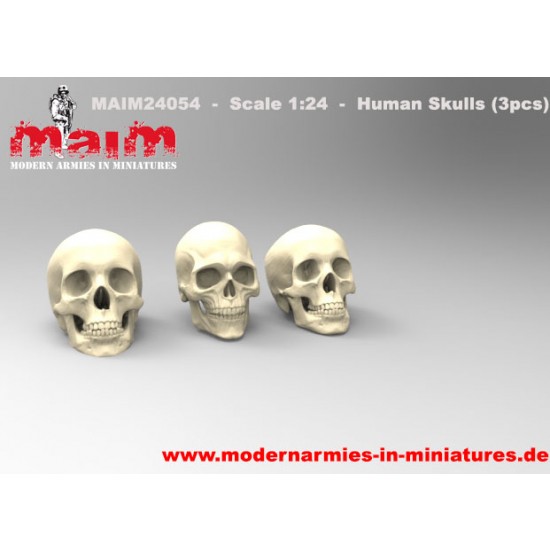 1/24 Human Skulls Set
