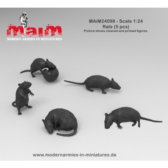 1/24 Rats (5pcs)