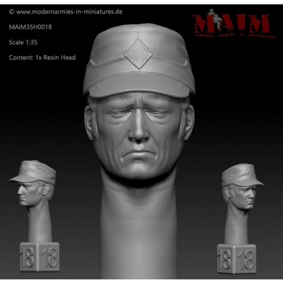 1/35 Modern German Head w/Field Cap: Sad Impression #0018 (1pcs)